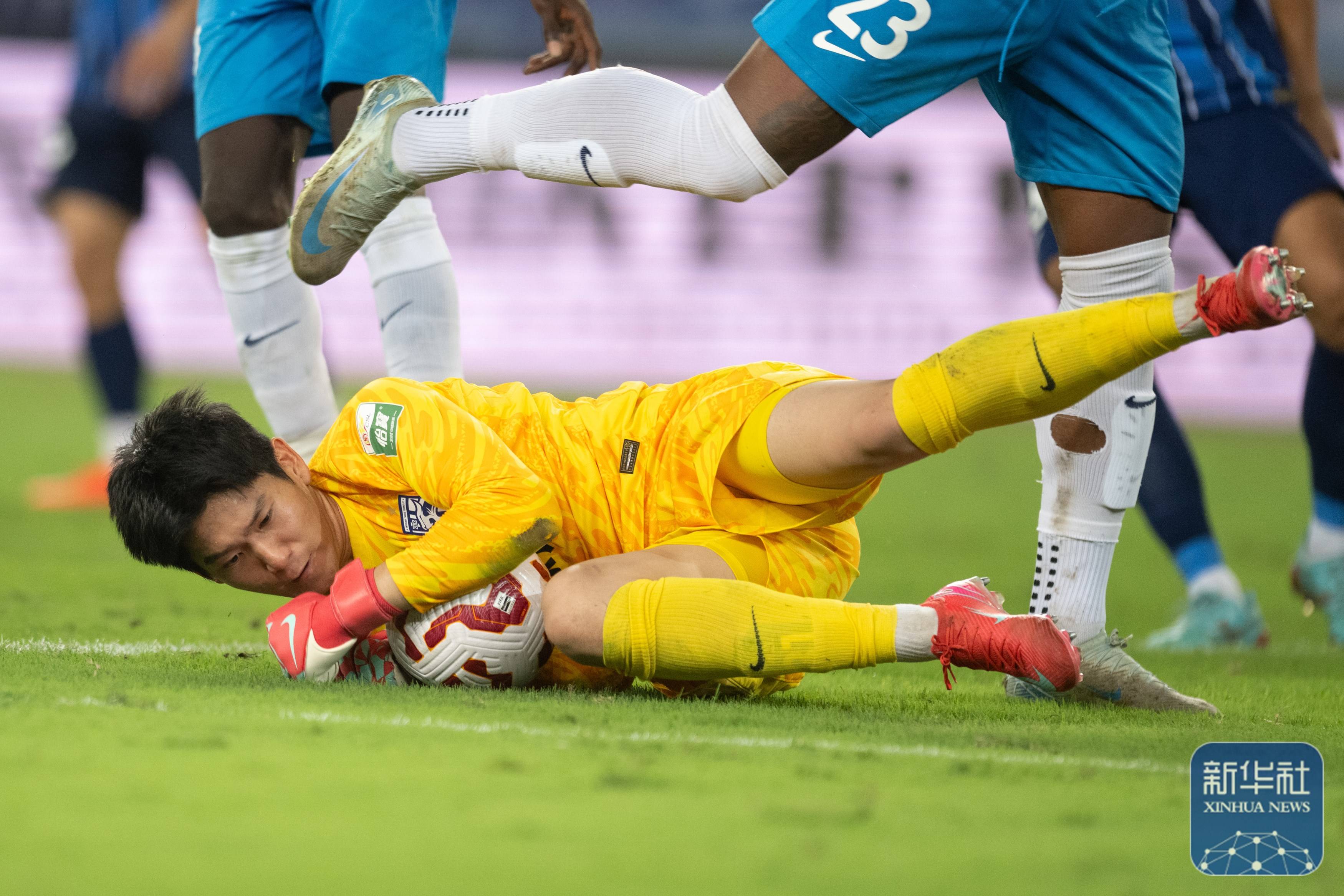 体系的投入 体系的投入